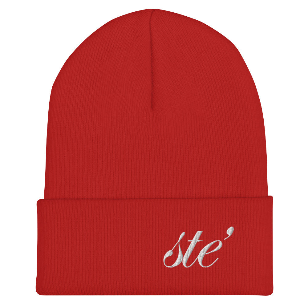 STE' Classic Cuff Beanie